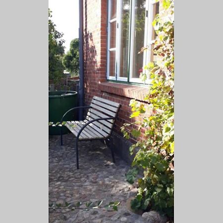Ferienwohnung In Seenaehe Borgdorf-Seedorf Eksteriør billede